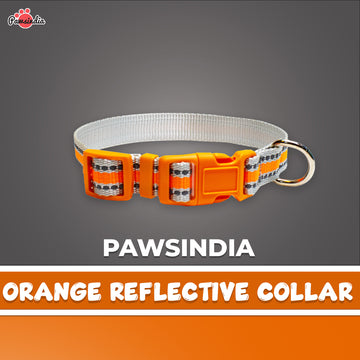 Pawsindia Reflective Nylon Collar for Small Dogs - Orange